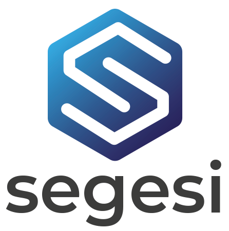 SEGESI Consultores
